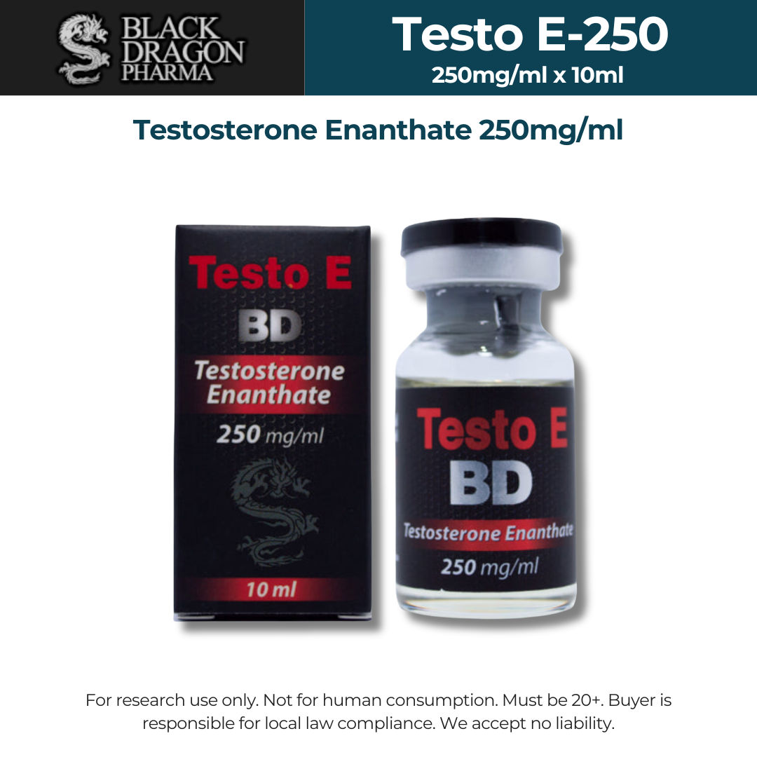 BD Testo E-250